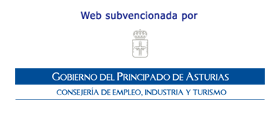 Web Subvencionada por la Consejería de Economía y Empleo